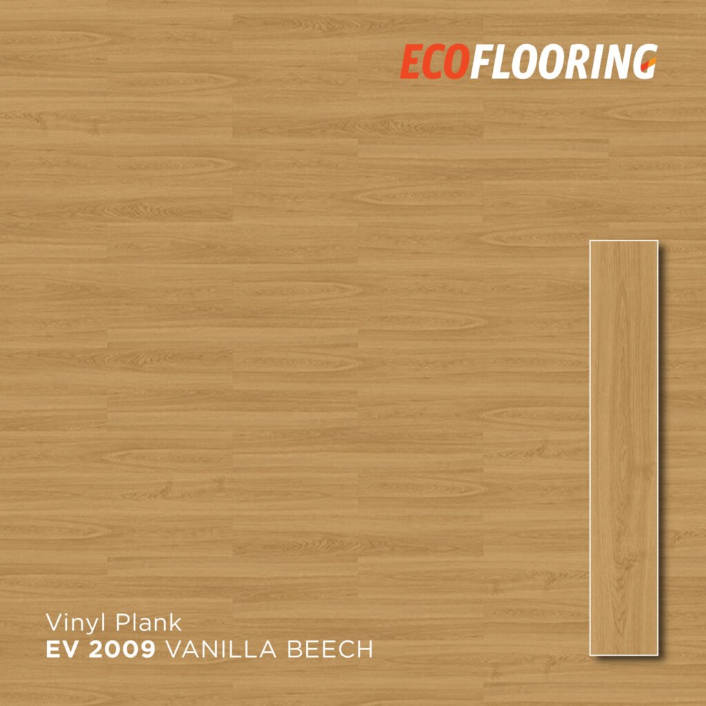 ev 2009
