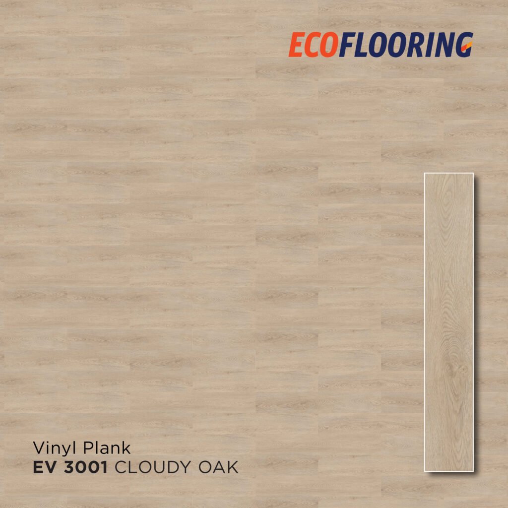 ev 3001 2