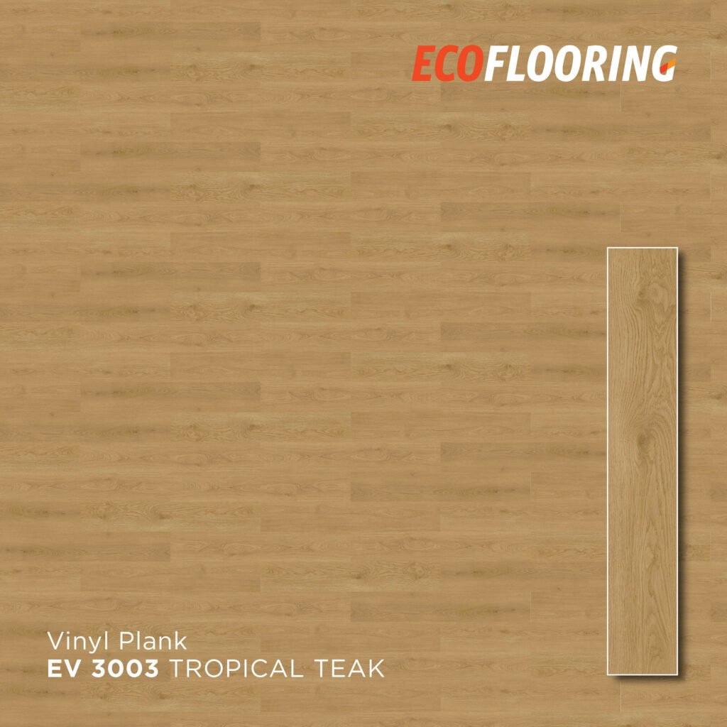 ev 3003 2