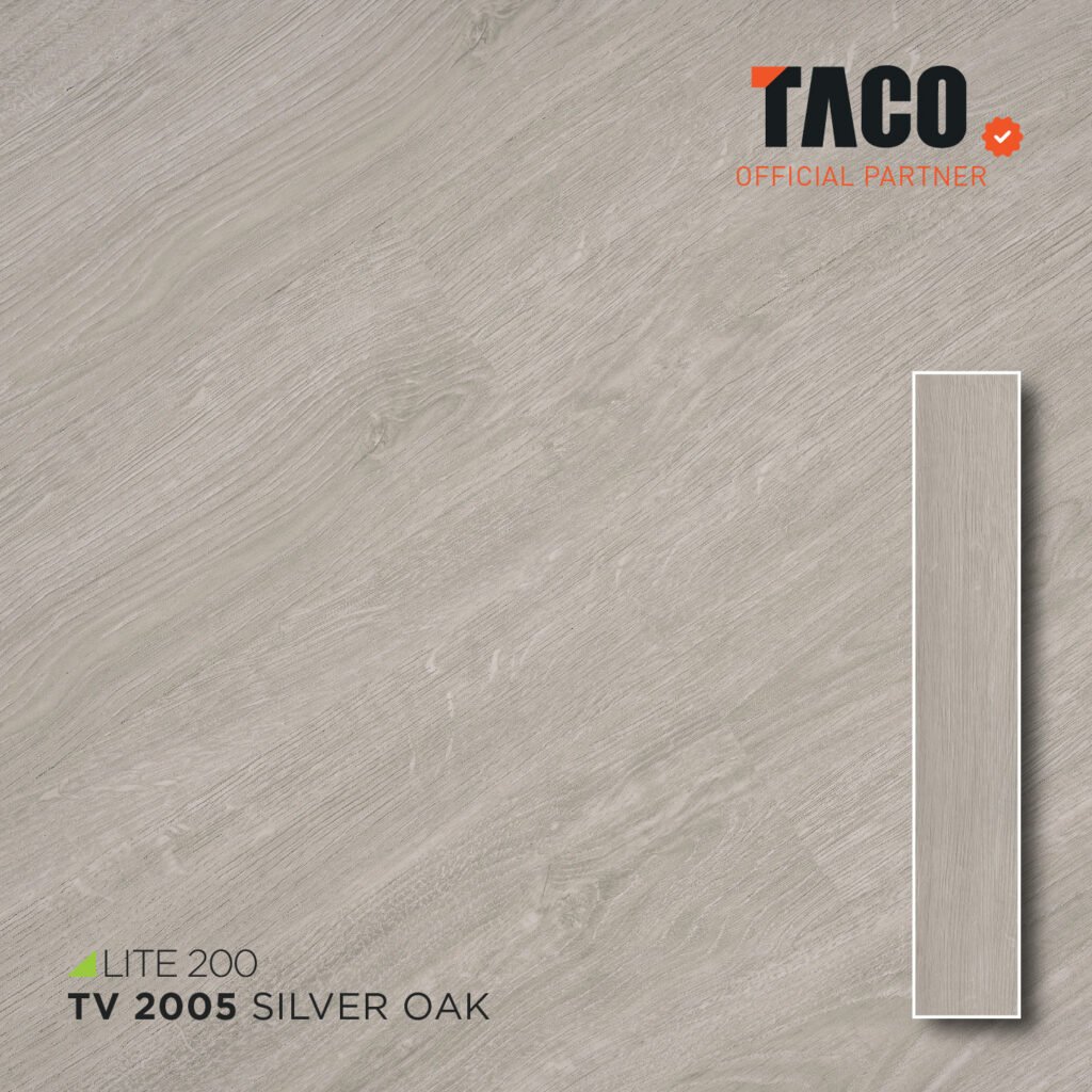 tv 2005 2