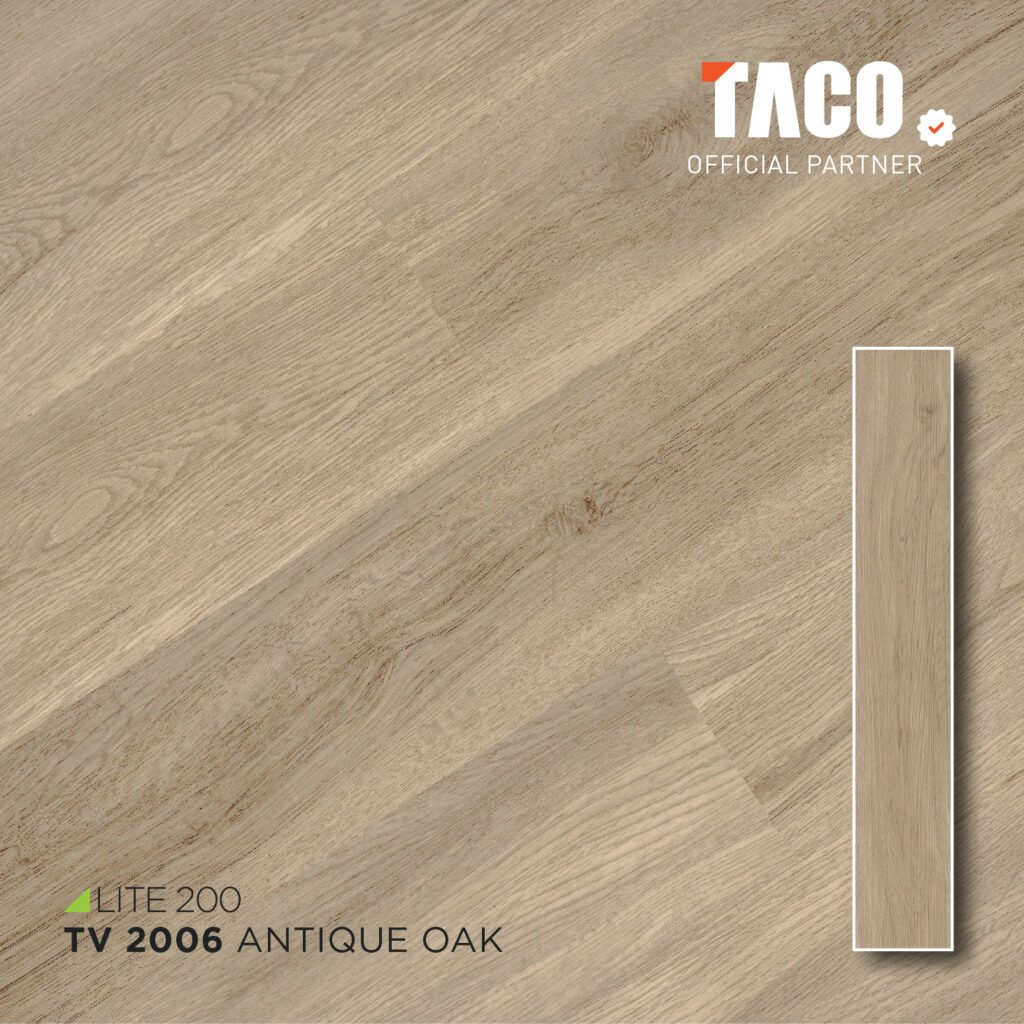 tv 2006 2