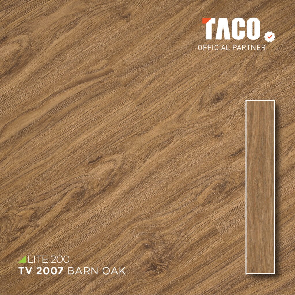 tv 2007 2