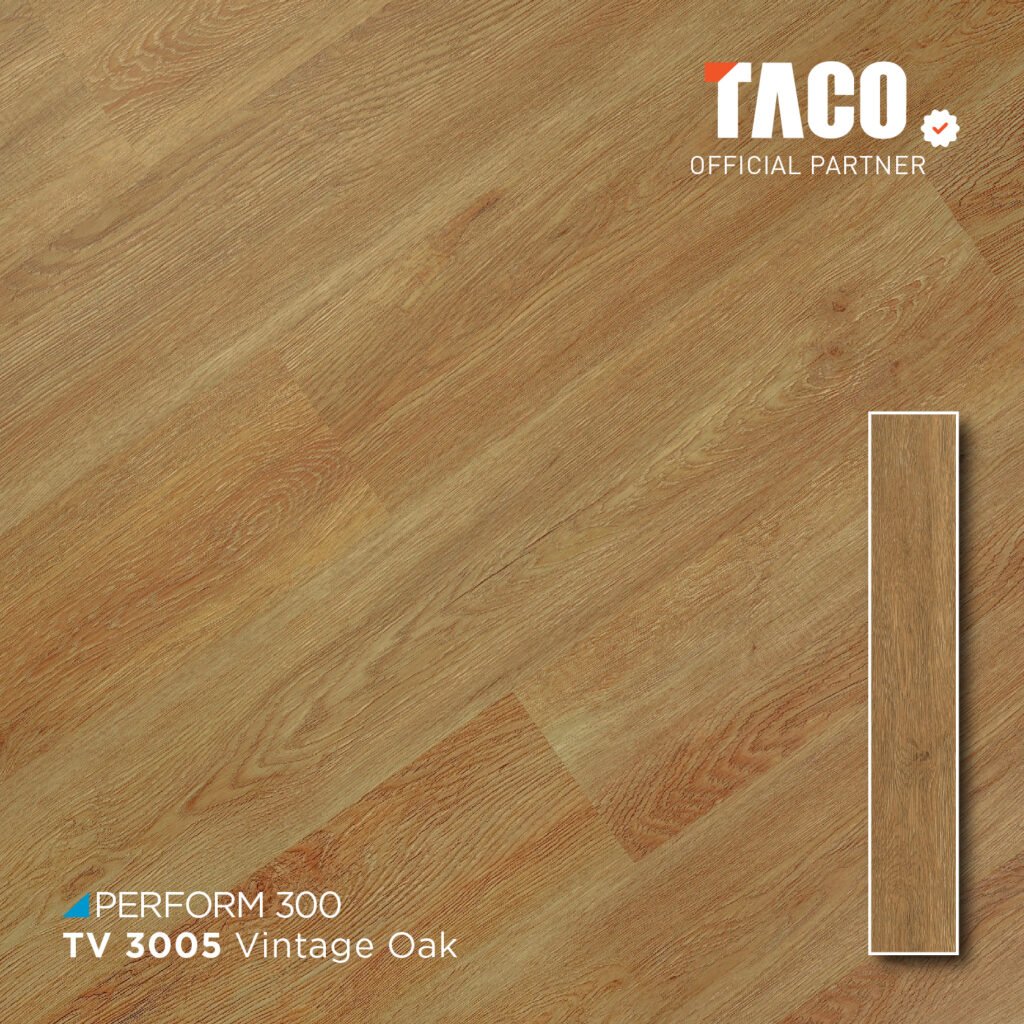 tv 3005 2