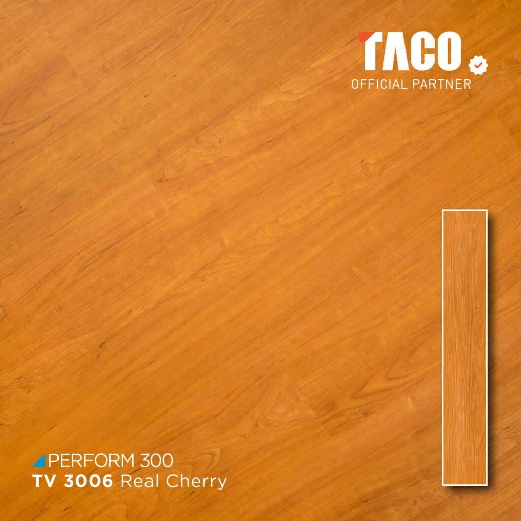 tv 3006 2