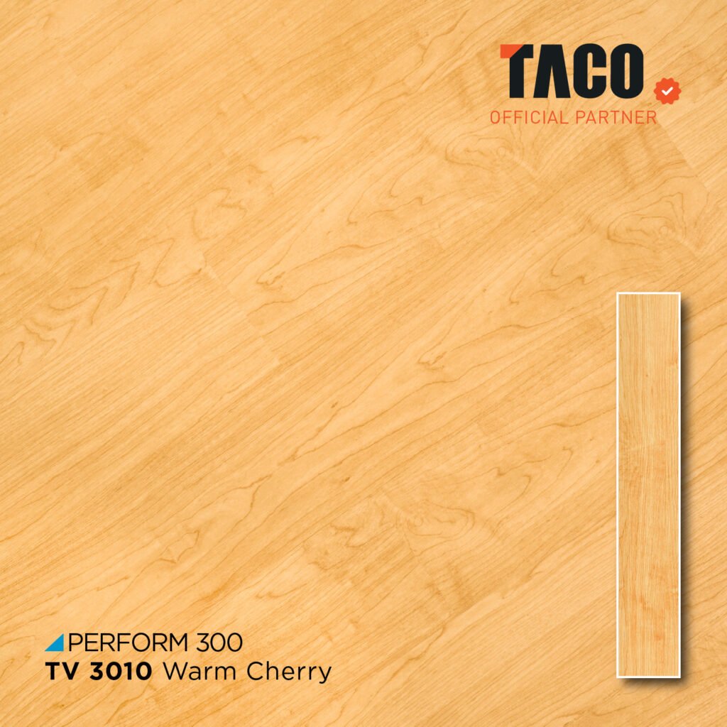 tv 3010 2