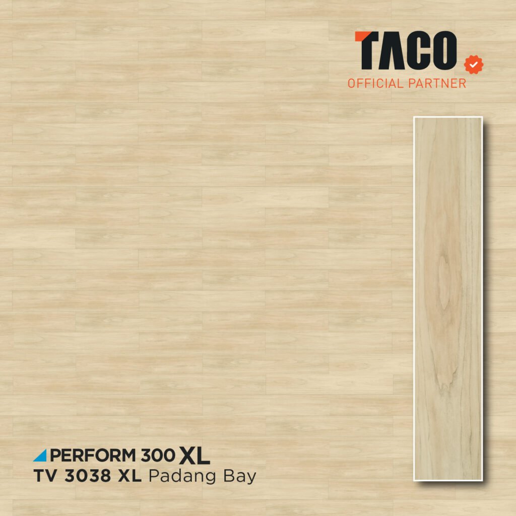 tv 3038 xl 2