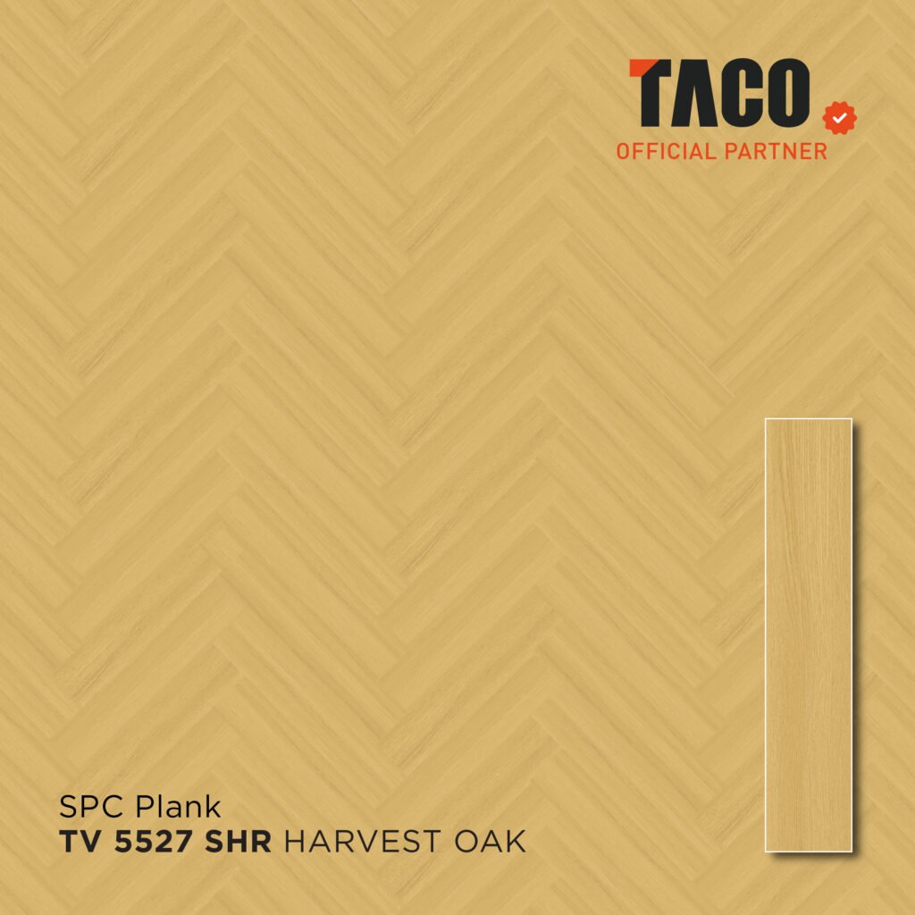 tv 5527 2