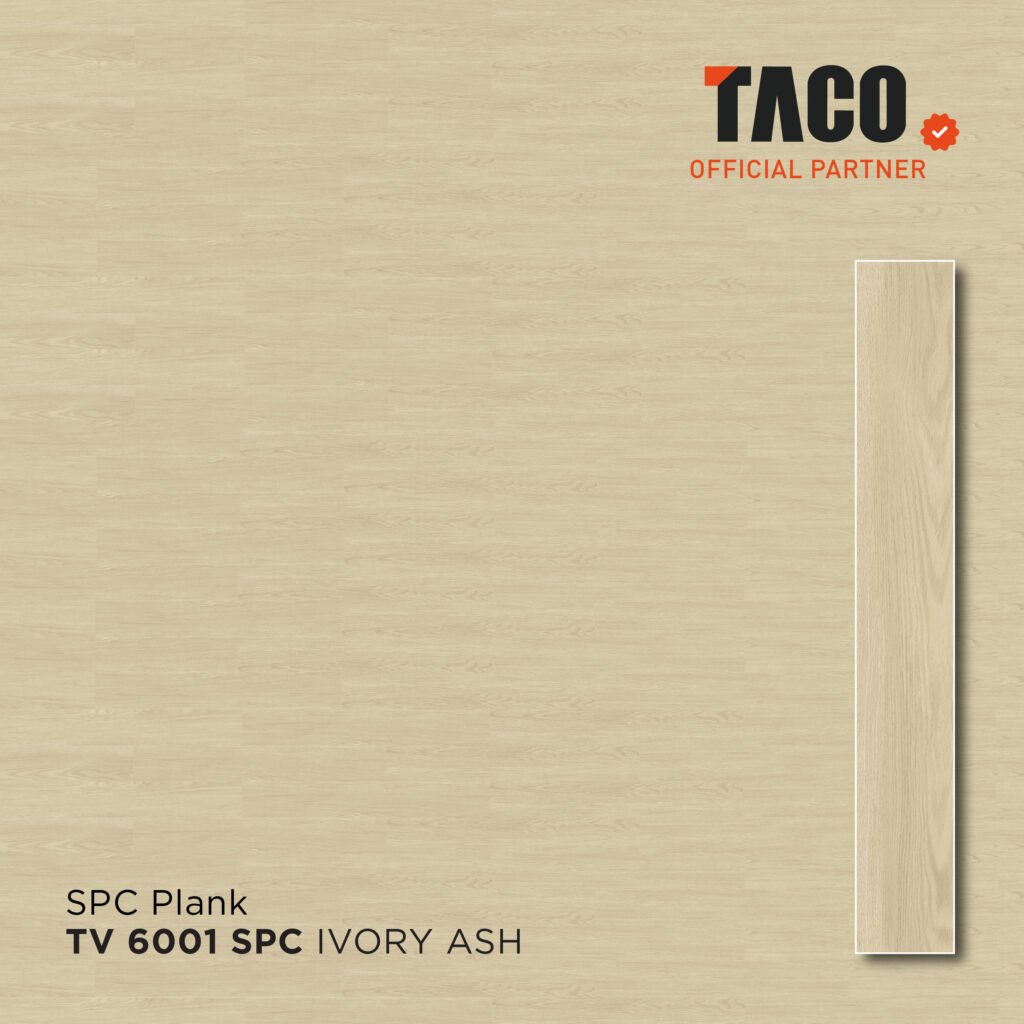tv 6001 2