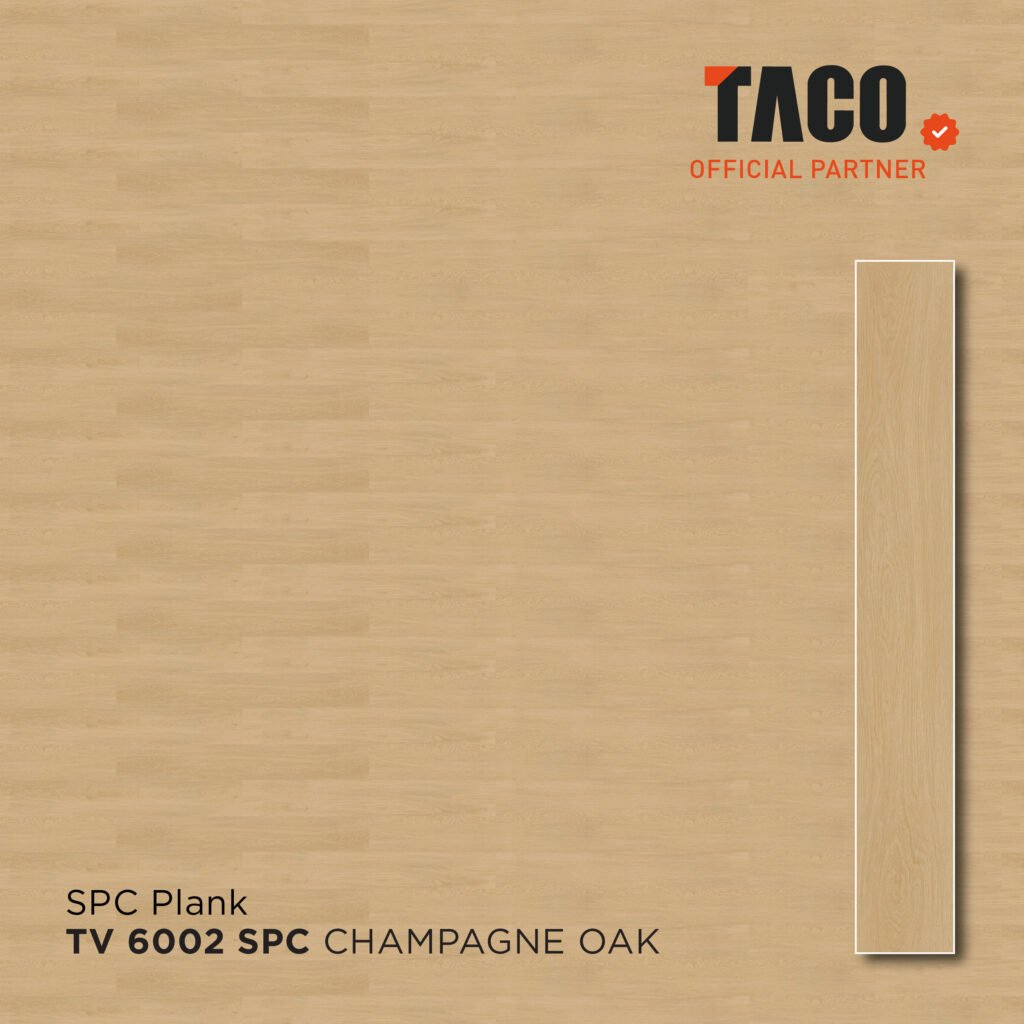 tv 6002 2