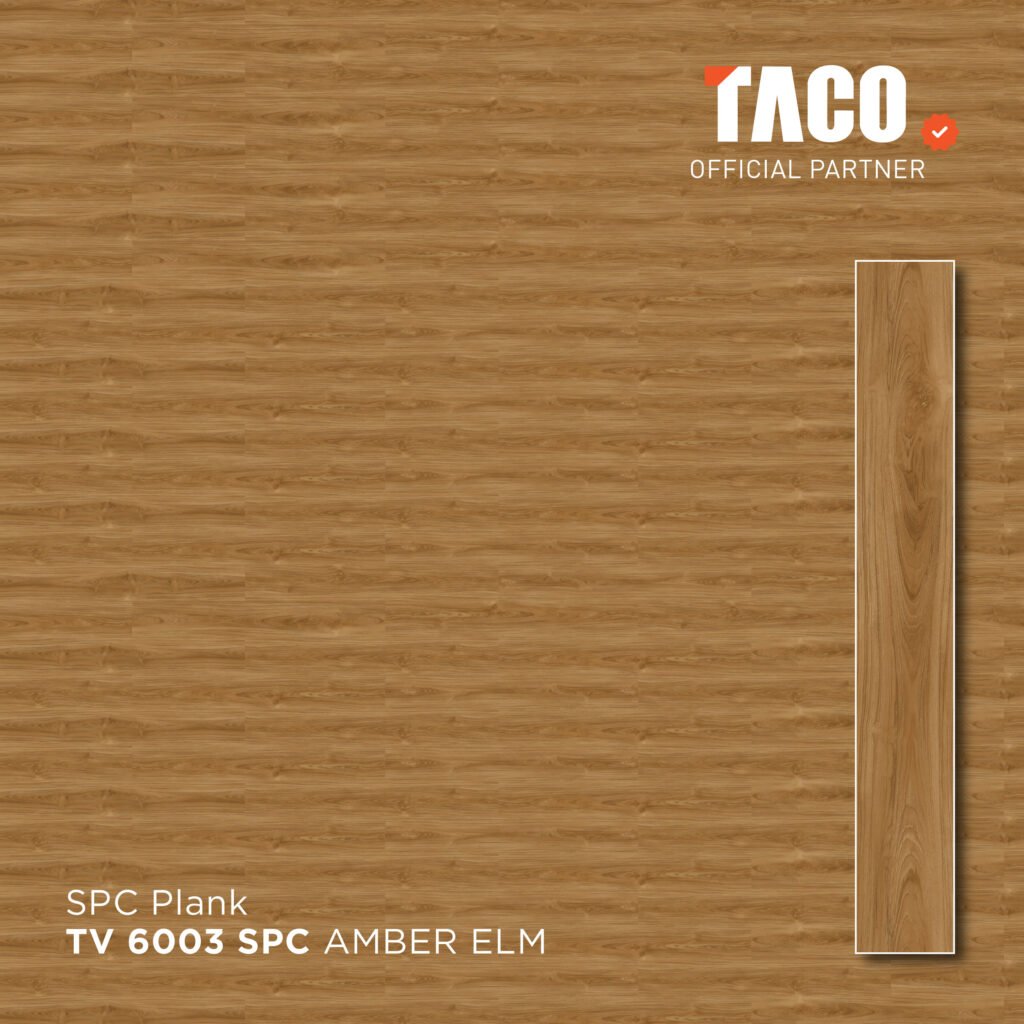tv 6003 2