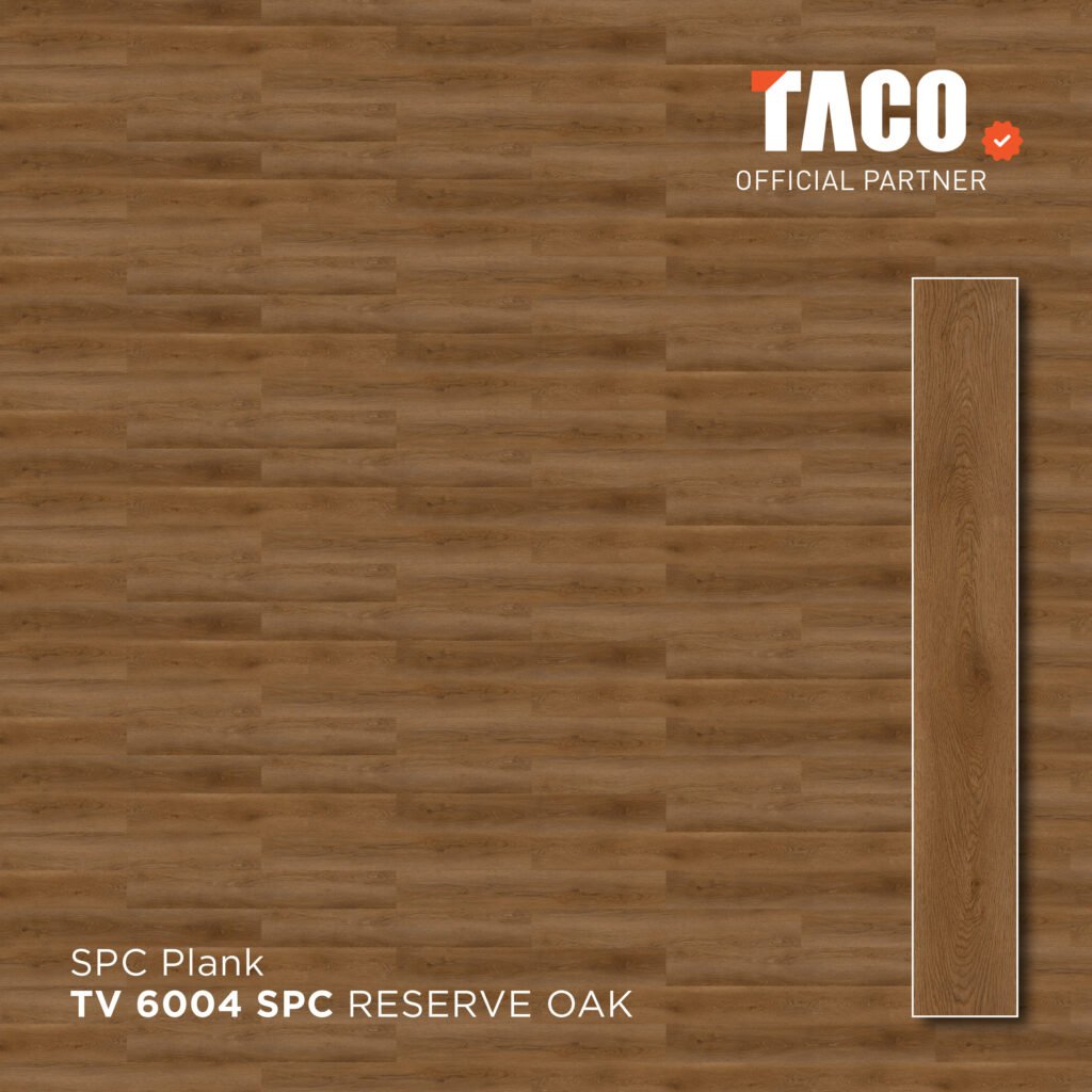 tv 6004 2