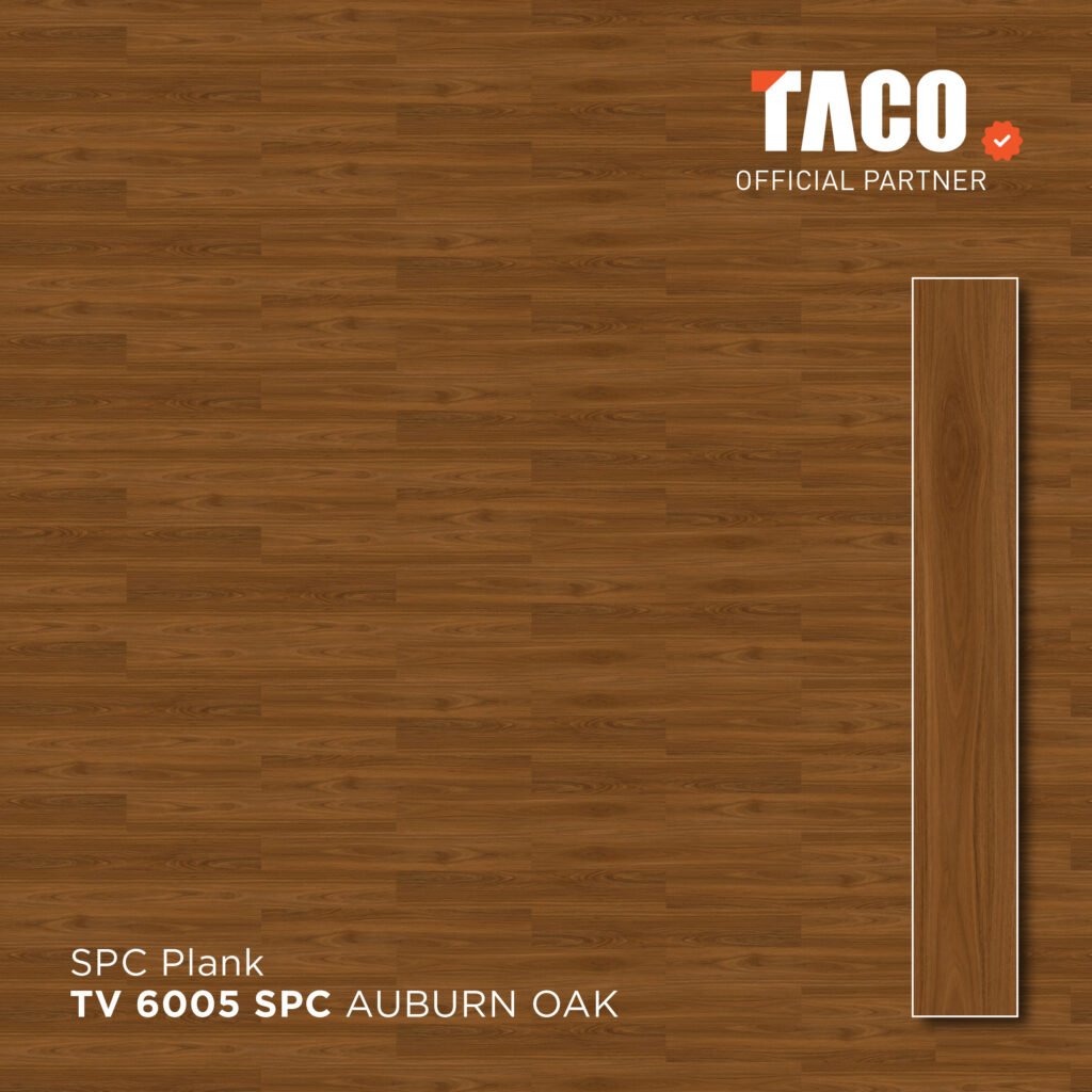 tv 6005 2