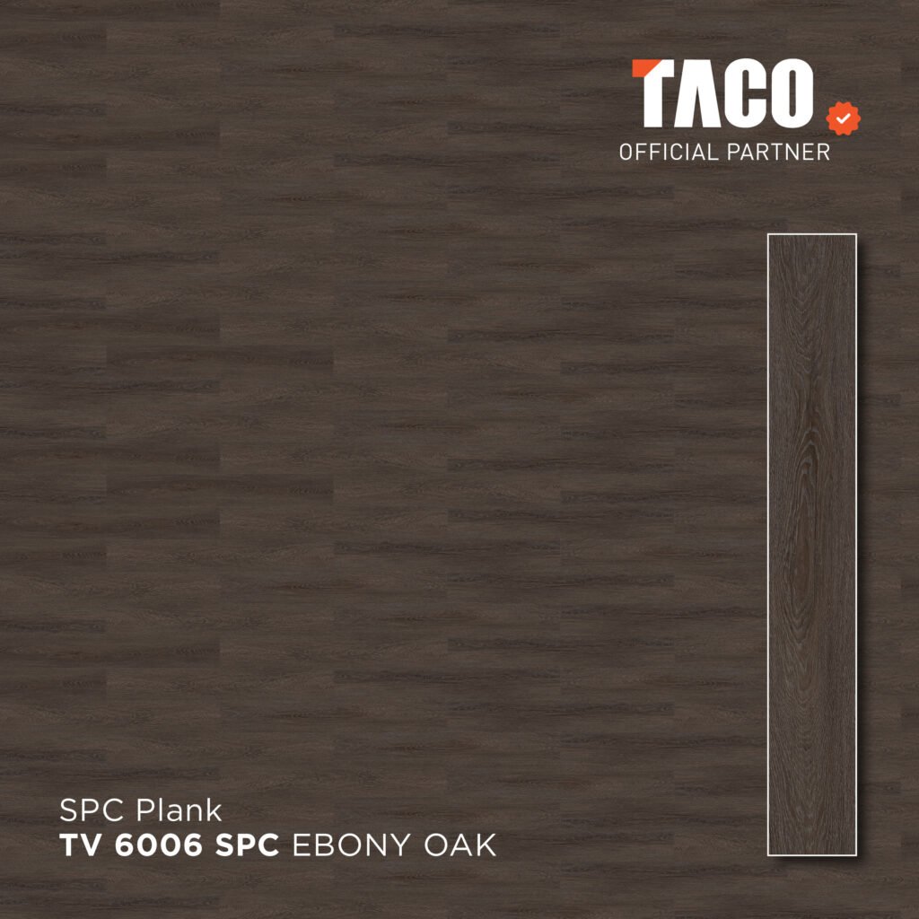 tv 6006 2